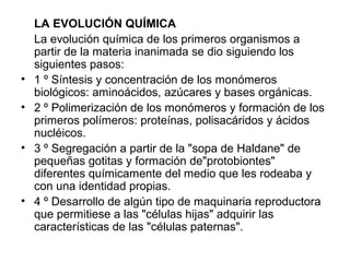 LA EVOLUCIÓN QUÍMICA
La evolución química de los primeros organismos a
partir de la materia inanimada se dio siguiendo los
siguientes pasos:
• 1 º Síntesis y concentración de los monómeros
biológicos: aminoácidos, azúcares y bases orgánicas.
• 2 º Polimerización de los monómeros y formación de los
primeros polímeros: proteínas, polisacáridos y ácidos
nucléicos.
• 3 º Segregación a partir de la "sopa de Haldane" de
pequeñas gotitas y formación de"protobiontes"
diferentes químicamente del medio que les rodeaba y
con una identidad propias.
• 4 º Desarrollo de algún tipo de maquinaria reproductora
que permitiese a las "células hijas" adquirir las
características de las "células paternas".
 