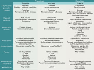 34
Procariotas Eucariotas
Bacteria Archaea Eukaria
Adaptaciones
generales
Sencillez
Rapidez y eficiencia metabólica
Sencillez
Ambientes extremos
Complejidad
Tamaño grande
Tamaño Pequeñas
Normalmente de 1 a 5 micras
Pequeñas
Normalmente de 1 a 5 micras
Grandes
Normalmente de 5 a 50 micras
Entre 1.000 y 10.000 veces mayores
que procariotas típicas
Material
genético
ADN circular
Sin nucleosomas: Sin histonas
1 Cromosoma
ADN circular
Con nucleosomas: Con proteínas
semejantes a histonas
1 Cromosoma
ADN lineal
Con nucleosomas y estructuras
superiores
Ligado a histonas y otras proteínas
Varios cromosomas
Membranas
internas
Pocas o ninguna
Sin membrana nuclear
Ninguna
Sin membrana nuclear
Muchas membranas internas
- Retículo endoplasmático
- Golgi
- Lisosomas
- Vacuolas
- Membrana nuclear
Formadas por fosfolípidos Formadas por éteres de terpenos Formadas por fosfolípidos
Pared celular Casi siempre presente
Formada por peptidoglucano y
otros compuestos
Casi siempre presente
No formada por peptidoglucano
Frecuente
Formada por polisacáridos (celulosa,
quitina...) y otras sustancias
Otros orgánulos Ribosomas pequeños 70s Ribosomas pequeños 70s (?) Ribosomas grandes 80s
Mitocondrias y Plastos
Microtúbulos
Formas No muy variadas
- Cocos
- Bacilos
- Espirilos
- Filamentos
No muy variadas
- Cocos
- Bacilos
- Filamentos
- Aplanadas
Muy variadas
Reproducción y
Sexualidad
Reproducción asexual
Pueden tener procesos
parasexuales
Reproducción asexual
Pueden tener procesos parasexuales
Reproducción sexual o asexual
- Asexual: Mitosis
- Sexual: Meiosis y fecundación
Metabolismo Muy variado Variado Poco variado.
Todos aerobios
 