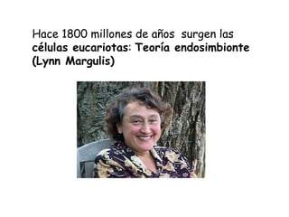 Hace 1800 millones de años surgen las
células eucariotas: Teoría endosimbionte
(Lynn Margulis)
 