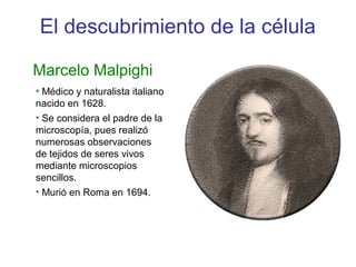 • Médico y naturalista italiano
nacido en 1628.
• Se considera el padre de la
microscopía, pues realizó
numerosas observaciones
de tejidos de seres vivos
mediante microscopios
sencillos.
• Murió en Roma en 1694.
Marcelo Malpighi
El descubrimiento de la célula
 