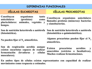 DIFERENCIAS FUNCIONALES
CÉLULAS EUCARIOTAS CÉLULAS PROCARIOTAS
Constituyen organismos tanto
unicelulares (protistas) como
pluricelulares: animales, vegetales y
hongos.
Constituyen organismos unicelulares
llamados protistas (móneras): bacterias
y cianobacterias.
Son de nutrición heterótrofa o autótrofa
(fotosintética).
Son de nutrición heterótrofa o autótrofa
(fotosintética o quimiosintética).
No pueden fijar el N2
atmosférico.
Algunos procariotas pueden fijar el N2
atmosférico.
Son de respiración aerobia aunque
existen eucariotas capaces de realizar
fermentación (levaduras y células
musculares).
Existen procariotas aerobios y
anaerobios (estrictos o facultativos).
Muchos realizan fermentaciones.
En ambos tipos de células existen representantes con capacidad de realizar
movimientos como respuesta a estímulos.
 