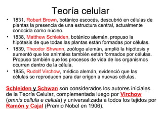Teoría celular
• 1831, Robert Brown, botánico escocés, descubrió en células de
plantas la presencia de una estructura central, actualmente
conocida como núcleo.
• 1838, Matthew Schleiden, botánico alemán, propuso la
hipótesis de que todas las plantas están formadas por células.
• 1839, Theodor Shwann, zoólogo alemán, amplió la hipótesis y
aumentó que los animales también están formados por células.
Propuso también que los procesos de vida de los organismos
ocurren dentro de la célula.
• 1855, Rudolf Virchow, médico alemán, evidenció que las
células se reproducen para dar origen a nuevas células.
Schleiden y Schwan son considerados los autores iniciales
de la Teoría Celular, complementada luego por Virchow
(omnis cellula e cellula) y universalizada a todos los tejidos por
Ramón y Cajal (Premio Nobel en 1906).
 