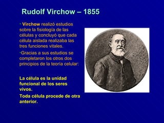 Virchow  realizó estudios sobre la fisiología de las células y concluyó que cada célula aislada realizaba las tres funciones vitales. Gracias a sus estudios se completaron los otros dos principios de la teoría celular:  La célula es la unidad funcional de los seres vivos. Toda célula procede de otra anterior. Rudolf Virchow – 1855 