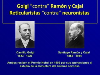 Golgi  “contra”  Ramón y Cajal Reticularistas  “contra”  neuronistas   Ambos reciben el Premio Nobel en 1906 por sus aportaciones al estudio de la estructura del sistema nervioso Camillo Golgi 1843 - 1926   Santiago Ramón y Cajal   1852 - 1934 