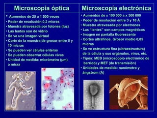 Microscopía óptica Microscopía electrónica Aumentos de 25 a 1 500 veces Poder de resolución 0,2 micras Muestra atravesada por fotones (luz) Las lentes son de vidrio Se ve una imagen virtual Corte de la muestra de grosor entre 5 y 15 micras Se pueden ver células enteras Se pueden observar células vivas Unidad de medida: micrómetro ( µm)   o micra Aumentos de x 100 000 a x 500 000 Poder de resolución entre 3 y 10  Å Muestra atravesada por electrones Las “lentes” son campos magnéticos Imagen en pantalla fluorescente Cortes ultrafinos. Grosor medio 0,05 micras Se ve estructura fina (ultraestructura)  de la célula y sus orgánulos, virus, etc.  Tipos: MEB (microscopio electrónico de barrido) y MET (de transmisión) Unidades de medida: nanómetro y ángstrom (Å) 