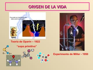 ORIGEN DE LA VIDA Teoría de Oparin – 1922 “ sopa primitiva” Experimento de Miller - 1950 