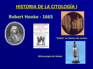 HISTORIA DE LA CITOLOGÍA I Robert Hooke - 1665 Microscopio de Hooke “ Célula” en lámina de corcho 