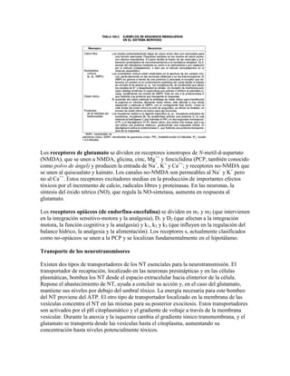 Los receptores de glutamato se dividen en receptores ionotropos de N-metil-d-aspartato
(NMDA), que se unen a NMDA, glicina, cinc, Mg++ y fenciclidina (PCP, también conocido
como polvo de ángel) y producen la entrada de Na+, K+ y Ca++; y receptores no-NMDA que
se unen al quiscualato y kainato. Los canales no-NMDA son permeables al Na+ y K+ pero
no al Ca++. Estos receptores excitadores median en la producción de importantes efectos
tóxicos por el incremento de calcio, radicales libres y proteinasas. En las neuronas, la
síntesis del óxido nítrico (NO), que regula la NO-sintetasa, aumenta en respuesta al
glutamato.

Los receptores opiáceos (de endorfina-encefalina) se dividen en m1 y m2 (que intervienen
en la integración sensitivo-motora y la analgesia), D1 y D2 (que afectan a la integración
motora, la función cognitiva y la analgesia) y k1, k2 y k3 (que influyen en la regulación del
balance hídrico, la analgesia y la alimentación). Los receptores s, actualmente clasificados
como no-opiáceos se unen a la PCP y se localizan fundamentalmente en el hipotálamo.

Transporte de los neurotransmisores

Existen dos tipos de transportadores de los NT esenciales para la neurotransmisión. El
transportador de recaptación, localizado en las neuronas presinápticas y en las células
plasmáticas, bombea los NT desde el espacio extracelular hacia elinterior de la célula.
Repone el abastecimiento de NT, ayuda a concluir su acción y, en el caso del glutamato,
mantiene sus niveles por debajo del umbral tóxico. La energía necesaria para este bombeo
del NT proviene del ATP. El otro tipo de transportador localizado en la membrana de las
vesículas concentra el NT en las mismas para su posterior exocitosis. Estos transportadores
son activados por el pH citoplasmático y el gradiente de voltaje a través de la membrana
vesicular. Durante la anoxia y la isquemia cambia el gradiente iónico transmembrana, y el
glutamato se transporta desde las vesículas hasta el citoplasma, aumentando su
concentración hasta niveles potencialmente tóxicos.
 