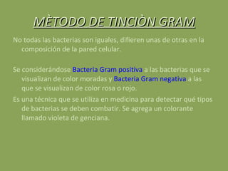 MÈTODO DE TINCIÒN GRAM No todas las bacterias son iguales, difieren unas de otras en la composición de la pared celular. Se considerándose  Bacteria Gram positiva  a las bacterias que se visualizan de color moradas y  Bacteria Gram negativa  a las que se visualizan de color rosa o rojo. Es una técnica que se utiliza en medicina para detectar qué tipos de bacterias se deben combatir. Se agrega un colorante llamado violeta de genciana. 