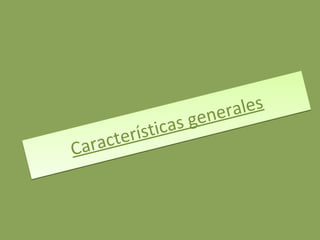 Características generales 