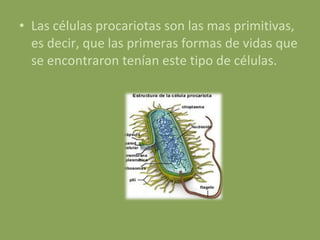 Las células procariotas son las mas primitivas, es decir, que las primeras formas de vidas que se encontraron tenían este tipo de células. 