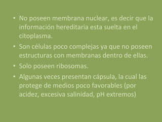 No poseen membrana nuclear, es decir que la información hereditaria esta suelta en el citoplasma. Son células poco complejas ya que no poseen estructuras con membranas dentro de ellas. Solo poseen ribosomas. Algunas veces presentan cápsula, la cual las protege de medios poco favorables (por acidez, excesiva salinidad, pH extremos) 
