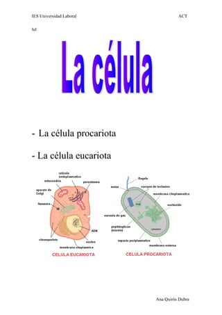 IES Universidad Laboral ACT
lul
- La célula procariota
- La célula eucariota
Ana Quirós Dubra
 