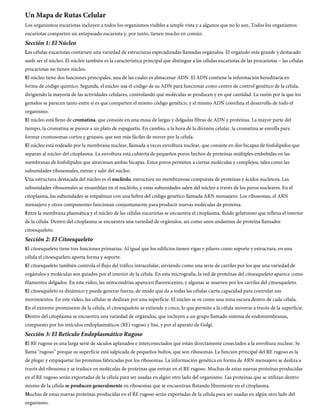 Un Mapa de Rutas Celular
Los organismos eucariotas incluyen a todos los organismos visibles a simple vista y a algunos que no lo son. Todos los organismos
eucariotas comparten un antepasado eucariota y, por tanto, tienen mucho en común.
Sección 1: El Núcleo
Las células eucariotas contienen una variedad de estructuras especializadas llamadas orgánulos. El orgánulo más grande y destacado
suele ser el núcleo. El núcleo también es la característica principal que distingue a las células eucariotas de las procariotas – las células
procariotas no tienen núcleo.
El núcleo tiene dos funciones principales, una de las cuales es almacenar ADN. El ADN contiene la información hereditaria en
forma de código químico. Segunda, el núcleo usa el código de su ADN para funcionar como centro de control genético de la célula,
dirigiendo la mayoría de las actividades celulares, controlando qué moléculas se producen y en qué cantidad. La razón por la que los
gemelos se parecen tanto entre sí es que comparten el mismo código genético, y el mismo ADN coordina el desarrollo de todo el
organismo.
El núcleo está lleno de cromatina, que consiste en una masa de largas y delgadas fibras de ADN y proteínas. La mayor parte del
tiempo, la cromatina se parece a un plato de espaguetis. En cambio, a la hora de la división celular, la cromatina se enrolla para
formar cromosomas cortos y gruesos, que son más fáciles de mover por la célula.
El núcleo está rodeado por la membrana nuclear, llamada a veces envoltura nuclear, que consiste en dos bicapas de fosfolípidos que
separan al núcleo del citoplasma. La envoltura está cubierta de pequeños poros hechos de proteínas múltiples embebidas en las
membranas de fosfolípidos que atraviesan ambas bicapas. Estos poros permiten a ciertas moléculas y complejos, tales como las
subunidades ribosomales, entrar y salir del núcleo.
Una estructura destacada del núcleo es el nucléolo, estructura no membranosa compuesta de proteínas y ácidos nucleicos. Las
subunidades ribosomales se ensamblan en el nucléolo, y estas subunidades salen del núcleo a través de los poros nucleares. En el
citoplasma, las subunidades se empalman con una hebra del código genético llamada ARN mensajero. Los ribosomas, el ARN
mensajero y otros componentes funcionan conjuntamente para producir nuevas moléculas de proteína.
Entre la membrana plasmática y el núcleo de las células eucariotas se encuentra el citoplasma, fluido gelatinoso que rellena el interior
de la célula. Dentro del citoplasma se encuentra una variedad de orgánulos, así como unos andamios de proteína llamados
citoesqueleto.
Sección 2: El Citoesqueleto
El citoesqueleto tiene tres funciones primarias. Al igual que los edificios tienen vigas y pilares como soporte y estructura, en una
célula el citoesqueleto aporta forma y soporte.
El citoesqueleto también controla el flujo del tráfico intracelular, sirviendo como una serie de carriles por los que una variedad de
orgánulos y moléculas son guiados por el interior de la célula. En esta micrografía, la red de proteínas del citoesqueleto aparece como
filamentos delgados. En este video, las mitocondrias aparecen fluorescentes, y algunas se mueven por los carriles del citoesqueleto.
El citoesqueleto es dinámico y puede generar fuerza, de modo que da a todas las células cierta capacidad para controlar sus
movimientos. En este video, las células se deslizan por una superficie. El núcleo se ve como una zona oscura dentro de cada célula.
En el extremo prominente de la célula, el citoesqueleto se extiende y crece, lo que permite a la célula moverse a través de la superficie.
Dentro del citoplasma se encuentra una variedad de orgánulos, que incluyen a un grupo llamado sistema de endomembranas,
compuesto por los retículos endoplasmáticos (RE) rugoso y liso, y por el aparato de Golgi.
Sección 3: El Retículo Endoplasmático Rugoso
El RE rugoso es una larga serie de sáculos aplanados e interconectados que están directamente conectados a la envoltura nuclear. Se
llama "rugoso” porque su superficie está salpicada de pequeños bultos, que son ribosomas. La función principal del RE rugoso es la
de plegar y empaquetar las proteínas fabricadas por los ribosomas. La información genética en forma de ARN mensajero se desliza a
través del ribosoma y se traduce en moléculas de proteínas que entran en el RE rugoso. Muchas de estas nuevas proteínas producidas
en el RE rugoso serán exportadas de la célula para ser usadas en algún otro lado del organismo. Las proteínas que se utilizan dentro
mismo de la célula se producen generalmente en ribosomas que se encuentran flotando libremente en el citoplasma.
Muchas de estas nuevas proteínas producidas en el RE rugoso serán exportadas de la célula para ser usadas en algún otro lado del
organismo.
 