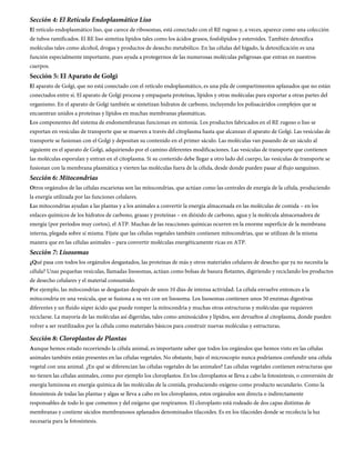 Sección 4: El Retículo Endoplasmático Liso
El retículo endoplasmático liso, que carece de ribosomas, está conectado con el RE rugoso y, a veces, aparece como una colección
de tubos ramificados. El RE liso sintetiza lípidos tales como los ácidos grasos, fosfolípidos y esteroides. También detoxifica
moléculas tales como alcohol, drogas y productos de desecho metabólico. En las células del hígado, la detoxificación es una
función especialmente importante, pues ayuda a protegernos de las numerosas moléculas peligrosas que entran en nuestros
cuerpos.
Sección 5: El Aparato de Golgi
El aparato de Golgi, que no está conectado con el retículo endoplasmático, es una pila de compartimentos aplanados que no están
conectados entre sí. El aparato de Golgi procesa y empaqueta proteínas, lípidos y otras moléculas para exportar a otras partes del
organismo. En el aparato de Golgi también se sintetizan hidratos de carbono, incluyendo los polisacáridos complejos que se
encuentran unidos a proteínas y lípidos en muchas membranas plasmáticas.
Los componentes del sistema de endomembranas funcionan en sintonía. Los productos fabricados en el RE rugoso o liso se
exportan en vesículas de transporte que se mueven a través del citoplasma hasta que alcanzan el aparato de Golgi. Las vesículas de
transporte se fusionan con el Golgi y depositan su contenido en el primer sáculo. Las moléculas van pasando de un sáculo al
siguiente en el aparato de Golgi, adquiriendo por el camino diferentes modificaciones. Las vesículas de transporte que contienen
las moléculas esporulan y entran en el citoplasma. Si su contenido debe llegar a otro lado del cuerpo, las vesículas de transporte se
fusionan con la membrana plasmática y vierten las moléculas fuera de la célula, desde donde pueden pasar al flujo sanguíneo.
Sección 6: Mitocondrias
Otros orgánulos de las células eucariotas son las mitocondrias, que actúan como las centrales de energía de la célula, produciendo
la energía utilizada por las funciones celulares.
Las mitocondrias ayudan a las plantas y a los animales a convertir la energía almacenada en las moléculas de comida – en los
enlaces químicos de los hidratos de carbono, grasas y proteínas – en dióxido de carbono, agua y la molécula almacenadora de
energía (por períodos muy cortos), el ATP. Muchas de las reacciones químicas ocurren en la enorme superficie de la membrana
interna, plegada sobre sí misma. Fíjate que las células vegetales también contienen mitocondrias, que se utilizan de la misma
manera que en las células animales – para convertir moléculas energéticamente ricas en ATP.
Sección 7: Lisosomas
¿Qué pasa con todos los orgánulos desgastados, las proteínas de más y otros materiales celulares de desecho que ya no necesita la
célula? Unas pequeñas vesículas, llamadas lisosomas, actúan como bolsas de basura flotantes, digiriendo y reciclando los productos
de desecho celulares y el material consumido.
Por ejemplo, las mitocondrias se desgastan después de unos 10 días de intensa actividad. La célula envuelve entonces a la
mitocondria en una vesícula, que se fusiona a su vez con un lisosoma. Los lisosomas contienen unos 50 enzimas digestivas
diferentes y un fluido súper ácido que puede romper la mitocondria y muchas otras estructuras y moléculas que requieren
reciclarse. La mayoría de las moléculas así digeridas, tales como aminoácidos y lípidos, son devueltos al citoplasma, donde pueden
volver a ser reutilizados por la célula como materiales básicos para construir nuevas moléculas y estructuras.

Sección 8: Cloroplastos de Plantas
Aunque hemos estado recorriendo la célula animal, es importante saber que todos los orgánulos que hemos visto en las células
animales también están presentes en las células vegetales. No obstante, bajo el microscopio nunca podríamos confundir una célula
vegetal con una animal. ¿En qué se diferencian las células vegetales de las animales? Las células vegetales contienen estructuras que
no tienen las células animales, como por ejemplo los cloroplastos. En los cloroplastos se lleva a cabo la fotosíntesis, o conversión de
energía luminosa en energía química de las moléculas de la comida, produciendo oxígeno como producto secundario. Como la
fotosíntesis de todas las plantas y algas se lleva a cabo en los cloroplastos, estos orgánulos son directa o indirectamente
responsables de todo lo que comemos y del oxígeno que respiramos. El cloroplasto está rodeado de dos capas distintas de
membranas y contiene sáculos membranosos aplanados denominados tilacoides. Es en los tilacoides donde se recolecta la luz
necesaria para la fotosíntesis.
 