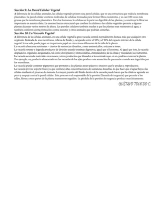 Sección 9: La Pared Celular Vegetal
A diferencia de las células animales, las células vegetales poseen una pared celular, que es una estructura que rodea la membrana
plasmática. La pared celular contiene moléculas de celulosa trenzadas para formar fibras resistentes, y es casi 100 veces más
gruesa que la membrana plasmática. Para los humanos, la celulosa es la parte no digerible de las plantas, y constituye la fibra tan
importante en nuestra dieta. La enorme fuerza estructural que confiere la celulosa a las células vegetales permite a algunas
plantas alcanzar varios metros de altura. Las paredes celulares también ayudan a que las plantas sean resistentes al agua, y
también confieren cierta protección contra insectos y otros animales que podrían comerlas.
Sección 10: La Vacuola Vegetal
A diferencia de las células animales, en una célula vegetal la gran vacuola central normalmente destaca más que cualquier otro
orgánulo. Rodeada de una membrana, rellena de fluido y, ocupando entre el 50% y el 90% del espacio interior de la célula
vegetal, la vacuola puede jugar un importante papel en cinco áreas diferentes de la vida de la planta.
La vacuola almacena nutrientes – cientos de sustancias disueltas, como aminoácidos, azúcares e iones.
La vacuola retiene y degrada productos de desecho usando enzimas digestivas, igual que el lisosoma. Al igual que éste, la vacuola
degrada los orgánulos desgastados, tal como cloroplastos y mitocondrias, eliminándolos de la célula y reciclando sus nutrientes.
La vacuola acumula materiales venenosos y otros productos que disuaden a los animales que, si no, podrían comerse la planta.
Por ejemplo, un producto almacenado en las vacuolas de los ajíes produce una sensación de quemazón cuando son ingeridos por
los mamíferos.
La vacuola puede contener pigmentos que permiten a las plantas atraer pájaros e insectos que le ayudan a reproducirse.
La vacuola provee soporte físico ya que contiene altas concentraciones de sustancias disueltas, lo que hace que el agua fluya a las
células mediante el proceso de ósmosis. La mayor presión del fluido dentro de la vacuola puede hacer que la célula se agrande un
poco y empuje contra la pared celular. Este proceso es el responsable de la presión (llamada de turgencia) que permite a los
tallos, flores y otras partes de la planta mantenerse erguidos. La pérdida de la presión de turgencia produce marchitamiento.

                                                                                                      GUSTAVO TOLEDO C.
 