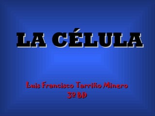 LA CÉLULA Luis Francisco Tarriño Minero 3º BD 