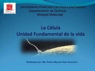 Realizado por: Ms. Pedro Manuel Soto Guerrero
UNIVERSIDAD FRANCISCO DE PAULA SANTANDER
Departamento de Química
Biología Molecular
 