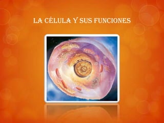 La célula y sus funciones
 
