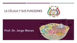 LA CÉLULA Y SUS FUNCIONES
Prof. Dr. Jorge Moran
 