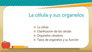 La célula y sus organelos
La célula
Clasificación de las células
Organelos celulares
Tipos de organelos y su función
 