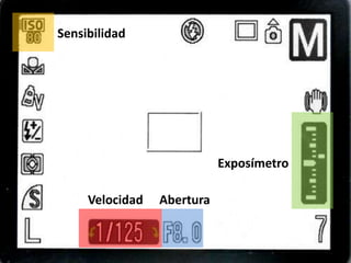Sensibilidad




                            Exposímetro

     Velocidad   Abertura
 