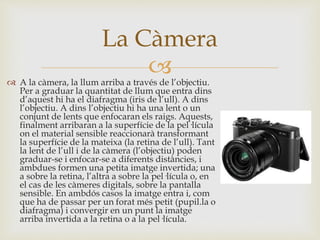  A la càmera, la llum arriba a través de l’objectiu.
Per a graduar la quantitat de llum que entra dins
d’aquest hi ha el diafragma (iris de l’ull). A dins
l’objectiu. A dins l’objectiu hi ha una lent o un
conjunt de lents que enfocaran els raigs. Aquests,
finalment arribaran a la superfície de la pel·lícula
on el material sensible reaccionarà transformant
la superfície de la mateixa (la retina de l’ull). Tant
la lent de l’ull i de la càmera (l’objectiu) poden
graduar-se i enfocar-se a diferents distàncies, i
ambdues formen una petita imatge invertida; una
a sobre la retina, l’altra a sobre la pel·lícula o, en
el cas de les càmeres digitals, sobre la pantalla
sensible. En ambdós casos la imatge entra i, com
que ha de passar per un forat més petit (pupil.la o
diafragma) i convergir en un punt la imatge
arriba invertida a la retina o a la pel·lícula.
La Càmera
 