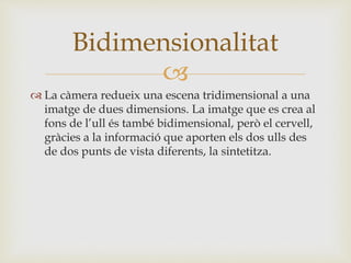 
 La càmera redueix una escena tridimensional a una
imatge de dues dimensions. La imatge que es crea al
fons de l’ull és també bidimensional, però el cervell,
gràcies a la informació que aporten els dos ulls des
de dos punts de vista diferents, la sintetitza.
Bidimensionalitat
 