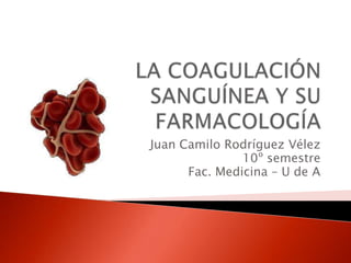 LA COAGULACIÓN SANGUÍNEA Y SU FARMACOLOGÍA Juan Camilo Rodríguez Vélez 10º semestre Fac. Medicina – U de A 