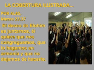 LA COBERTURA ILUSTRADA…
POR ALAS,
Mateo 23:37
El deseo de Elohim
es juntarnos, él
quiere que nos
congreguemos, que
lo hagamos en
armonía y que no
dejemos de hacerlo.
 