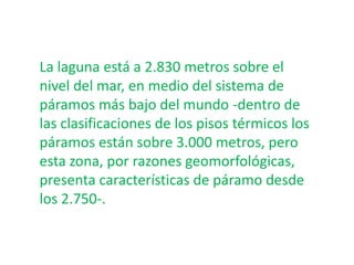 La laguna está a 2.830 metros sobre el nivel del mar, en medio del sistema de páramos más bajo del mundo -dentro de las clasificaciones de los pisos térmicos los páramos están sobre 3.000 metros, pero esta zona, por razones geomorfológicas, presenta características de páramo desde los 2.750-.