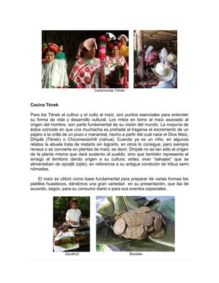 Ceremonias Tének
Cocina Tének
Para los Tének el cultivo y el culto al maíz, son puntos esenciales para entender
su forma de vida y desarrollo cultural. Los mitos en torno al maíz asociado al
origen del hombre, son parte fundamental de su visión del mundo. La mayoría de
éstos coincide en que una muchacha es preñada al tragarse el excremento de un
pájaro a la orilla de un pozo o manantial, hecho a partir del cual nace el Dios Maíz,
Dhipák (Tének) o Chicomexóchitl (nahua). Cuando ya es un niño, en algunos
relatos la abuela trata de matarlo sin lograrlo, en otros lo consigue, pero siempre
renace o se convierte en plantas de maíz; es decir, Dhipák no es tan sólo el origen
de la planta misma que dará sustento al pueblo, sino que también representa el
arraigo al territorio dando origen a su cultura; antes, eran “salvajes” que se
alimentaban de ojoxijtli (ojite), en referencia a su antigua condición de tribus semi
nómadas.
El maíz se utilizó como base fundamental para preparar de varias formas los
platillos huastecos, dándonos una gran variedad en su presentación, que iba de
acuerdo, según, para su consumo diario o para sus eventos especiales.
Zacahuil Bocoles
 