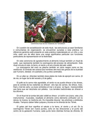 Ceremonia ritual de los Voladores de Tamaletom
En cuestión de sociabilización de este ritual, las estructuras ya sean familiares
o comunitarias de organización, se encuentran aunadas a esta práctica. La
diferencia genérica está presente en esta práctica materializada en un niño y una
niña; cada uno de ellos tiene una carga significativa particular con funciones
particulares de representación en la festividad.
En esta ceremonia de agradecimiento al alimento incluye también un ritual de
vuelo que representa también la cosmogonía del proceso de alimentación. Este
ritual vincula el cielo, la tierra, el viento y el sol a través del palo volátil.
La cosmogonía del maíz se plasma también en otros rasgos como en las
vestiduras: El símbolo del caracol (los hombres del maíz) las grecas de la dualidad
(ser humano, deidad) el cuadrado y los puntos cardinales.
En un altar se ofrendan también doce platos de mole de ajonjolí con carne. (6
de res, en lugar de la del venado y 6 de gallo).
El pollo es la carne más agradable, el cerdo no se puede ofrecer a los dioses,
para la comida de los visitantes se ofrecen otro tipo de carnes. Se ofrece, maíz,
frijol y miel de caña. La jícara simboliza el mar o el pozo es figura imprescindible
que tiene que ser decorada con pétalos. Los tamales tradicionales se ofrecen a
los difuntos.
En el ritual de la tumba del palo volátil se ofrece un bolím con jícara, vela y los
instrumentos musicales, resaltado el alimento como elemento unificador con la
danza, la música, la medicina etc. Es imposible disociar las prácticas y artefactos
rituales. Tampoco deben faltar pulques y licores en la ofrenda de los Tének.
El goteo del licor significa el saludo a la tierra, al viento y al sol. En la
cosmogonía Tének son nueve puntos, ocho en las direcciones y el punto del
centro de la gestación humana; cada punto tiene distintas formas de ofrenda. El
 