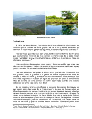 Foto: Marcela Acosta
Paisajes de la zona media
Cocina Pame
A decir de Heidi Bässler, Gonzalo de las Casas referenció al momento del
contacto que la comida de estos grupos “es de frutas y raíces silvestres, no
siembran ni cogen ningún género de legumbre, ni tienen ningún árbol cultivado”.27
“De las frutas que más usan son tunas, también comen la fruta de otro árbol
que acá llamamos mezquitl. Lo más común es mantenerse de la caza, matan
liebres y venados y aves y otras chucherías que andan por el campo que hasta los
ratones no perdonan…”
Los mamíferos más pequeños como conejo y liebre, armadillo, tuza, onza, rata
y los ratones de maguey o del monte se preparan generalmente cocidos en agua y
guisado en mole, fritos o asados directamente al fuego.
Las aves silvestres se guisan al mismo modo que las aves domésticas. Las
más grandes, como el guajolote o la gallina del monte se preparan en mole, en
tamales o fritas en aceite y manteca con los condimentos acostumbrados. Las
aves más pequeñas se cuecen en agua, se preparan en caldo o simplemente
fritas. El zopilote se come siempre en caldo, sobre todo cuando una persona
padece de tos ferina o se siente muy débil.
De los insectos, tenemos identificado el consumo de gusanos de maguey, los
que crecen sobre las hojas de la “mala mujer” y los que se forman sobre las
diferentes especies de palmas. Igualmente consumen larvas de avispas rojas (los
panales de estas avispas se encuentran en la tierra o sobre arbustos y árboles. Se
comen sobre todo en la región de Santa María, Acapulco y en la de La Palma),
larvas de avispas negras (gusanos moscos negros), larvas de abejas de colmena,
chinches de mezquite (insectos parecidos a las cucarachas, que crecen sobre las
hojas de mezquite y que los otomíes llaman tantarrias. Solamente pocos Xi´oi,
27
Heidi Chemin Bässler, Recetario Pame de San Luis Potosí y Querétaro. Colección Cocina Indígena y
Popular, CONACULTA, Culturas Populares e Indígenas, México, D.F., 2000. pág. 13
 