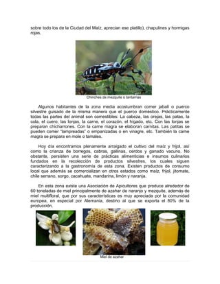 sobre todo los de la Ciudad del Maíz, aprecian ese platillo), chapulines y hormigas
rojas.
Chinches de mezquite o tantarrias
Algunos habitantes de la zona media acostumbran comer jabalí o puerco
silvestre guisado de la misma manera que el puerco doméstico. Prácticamente
todas las partes del animal son comestibles: La cabeza, las orejas, las patas, la
cola, el cuero, las lonjas, la carne, el corazón, el hígado, etc. Con las lonjas se
preparan chicharrones. Con la carne magra se elaboran carnitas. Las patitas se
pueden comer “lampreadas” o empanizadas o en vinagre, etc. También la carne
magra se prepara en mole o tamales.
Hoy día encontramos plenamente arraigado el cultivo del maíz y frijol, así
como la crianza de borregos, cabras, gallinas, cerdos y ganado vacuno. No
obstante, persisten una serie de prácticas alimenticias e insumos culinarios
fundados en la recolección de productos silvestres, los cuales siguen
caracterizando a la gastronomía de esta zona. Existen productos de consumo
local que además se comercializan en otros estados como maíz, frijol, jitomate,
chile serrano, sorgo, cacahuate, mandarina, limón y naranja.
En esta zona existe una Asociación de Apicultores que produce alrededor de
60 toneladas de miel principalmente de azahar de naranjo y mezquite, además de
miel multifloral, que por sus características es muy apreciada por la comunidad
europea, en especial por Alemania, destino al que se exporta el 80% de la
producción.
Miel de azahar
 