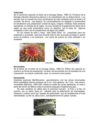 Cabuches
Se le denomina cabuche al botón de la biznaga (Salas, 1998:13). Proviene de la
biznaga cabuche (ferocactus pilosun) y se caracterizan por su textura tierna y su
tamaño que no excede los cinco centímetros de color oscilante entre el verde y el
amarillo de forma casi elíptica. Su comercialización ha obligado a conservarlos
en escabeche (una preparación a base de agua, vinagre y hierbas). Este producto
representa un símbolo de la región, es muy versátil en la gastronomía típica de la
región ya que pude presentarse como un aperitivo, ser la base de algunas
ensaladas o bien, ser el complemento de algún otro platillo.
En los meses de abril y mayo este botón floral es cosechado para ser
preparado y envasado para que durante todo el año se pueda conseguir y guisar
como se prefiera, a la mexicana, con carne de puerco en chile colorado o en
ensalada.
Cabuches Foto: Jose Fco. Román
Borrachitas
Se le llama así al botón de la biznaga (Salas, 1998:13). Difiere del cabuche en
cuanto a su forma de preparación, es decir, las borrachitas son el resultado de una
maceración en azúcar o piloncillo para su consumo como postre.
Garambullo
Cactácea espinosa (Myrtillocactus geometrizans), con las ramas encorvadas;
flores estrelladas blanco-verdosas de 2 cm.; fruto globoso de 7 mm., rojo oscuro,
comestible (Martínez, 1994:108). Habita en todas las zonas desérticas, al norte y
parte del centro de México (http://cuentame.inegi.gob.mx/glosario/g.asp).
De esta cactácea se utiliza para el consumo humano el fruto y la flor. El
primero, por su sabor dulce es utilizado para la elaboración de mermeladas,
refrescos y dulces como las “pasitas de garambullo” que es simplemente el fruto
deshidratado. La flor se utiliza como acompañamiento en platos fuertes.
Garambullos
 