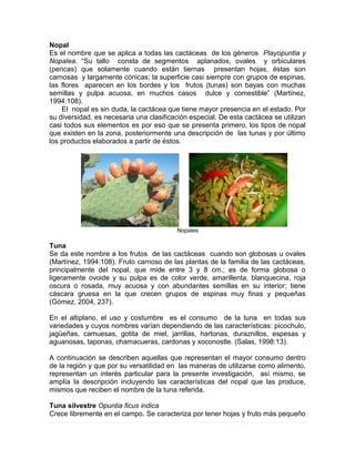 Nopal
Es el nombre que se aplica a todas las cactáceas de los géneros Playopuntia y
Nopalea. “Su tallo consta de segmentos aplanados, ovales y orbiculares
(pencas) que solamente cuando están tiernas presentan hojas, éstas son
carnosas y largamente cónicas; la superficie casi siempre con grupos de espinas,
las flores aparecen en los bordes y los frutos (tunas) son bayas con muchas
semillas y pulpa acuosa, en muchos casos dulce y comestible” (Martínez,
1994:108).
El nopal es sin duda, la cactácea que tiene mayor presencia en el estado. Por
su diversidad, es necesaria una clasificación especial. De esta cactácea se utilizan
casi todos sus elementos es por eso que se presenta primero, los tipos de nopal
que existen en la zona, posteriormente una descripción de las tunas y por último
los productos elaborados a partir de éstos.
Nopales
Tuna
Se da este nombre a los frutos de las cactáceas cuando son globosas u ovales
(Martínez, 1994:108). Fruto carnoso de las plantas de la familia de las cactáceas,
principalmente del nopal, que mide entre 3 y 8 cm.; es de forma globosa o
ligeramente ovoide y su pulpa es de color verde, amarillenta, blanquecina, roja
oscura o rosada, muy acuosa y con abundantes semillas en su interior; tiene
cáscara gruesa en la que crecen grupos de espinas muy finas y pequeñas
(Gómez, 2004, 237).
En el altiplano, el uso y costumbre es el consumo de la tuna en todas sus
variedades y cuyos nombres varían dependiendo de las características: picochulo,
jagüeñas, camuesas, gotita de miel, jarrillas, hartonas, duraznillos, espesas y
aguanosas, taponas, chamacueras, cardonas y xoconostle. (Salas, 1998:13).
A continuación se describen aquellas que representan el mayor consumo dentro
de la región y que por su versatilidad en las maneras de utilizarse como alimento,
representan un interés particular para la presente investigación, así mismo, se
amplía la descripción incluyendo las características del nopal que las produce,
mismos que reciben el nombre de la tuna referida.
Tuna silvestre Opuntia ficus indica
Crece libremente en el campo. Se caracteriza por tener hojas y fruto más pequeño
 
