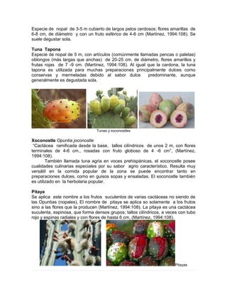 Especie de nopal de 3-5 m cubierto de largos pelos cerdosos; flores amarillas de
6-8 cm, de diámetro y con un fruto esférico de 4-6 cm (Martínez, 1994:108). Se
suele degustar sola.
Tuna Tapona
Especie de nopal de 5 m, con artículos (comúnmente llamadas pencas o paletas)
oblongos (más largas que anchas) de 20-25 cm. de diámetro, flores amarillos y
frutas rojas de 7 -9 cm. (Martínez, 1994:108). Al igual que la cardona, la tuna
tapona es utilizada para muchas preparaciones principalmente dulces como
conservas y mermeladas debido al sabor dulce predominante, aunque
generalmente es degustada sola.
Tunas y xoconostles
Xoconostle Opuntia joconostle
“Cactácea ramificada desde la base, tallos cilíndricos de unos 2 m, con flores
terminales de 4-6 cm., rosadas con fruto globoso de 4 -6 cm”, (Martínez,
1994:108).
También llamada tuna agria en voces prehispánicas, el xoconostle posee
cualidades culinarias especiales por su sabor agrio característico. Resulta muy
versátil en la comida popular de la zona se puede encontrar tanto en
preparaciones dulces, como en guisos sopas y ensaladas. El xoconostle también
es utilizado en la herbolaria popular.
Pitaya
Se aplica este nombre a los frutos suculentos de varias cactáceas no siendo de
las Opuntias (nopales). El nombre de pitaya se aplica so solamente a los frutos
sino a las flores que la producen (Martínez, 1994:108). La pitaya es una cactácea
suculenta, espinosa, que forma densos grupos; tallos cilíndricos, a veces con tubo
rojo y espinas radiales y con flores de hasta 6 cm, (Martínez, 1994:108).
Pitayas
 