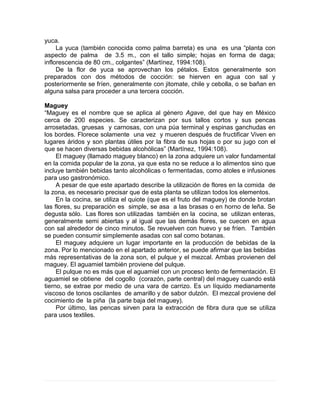 yuca.
La yuca (también conocida como palma barreta) es una es una “planta con
aspecto de palma de 3.5 m., con el tallo simple; hojas en forma de daga;
inflorescencia de 80 cm., colgantes” (Martínez, 1994:108).
De la flor de yuca se aprovechan los pétalos. Estos generalmente son
preparados con dos métodos de cocción: se hierven en agua con sal y
posteriormente se fríen, generalmente con jitomate, chile y cebolla, o se bañan en
alguna salsa para proceder a una tercera cocción.
Maguey
“Maguey es el nombre que se aplica al género Agave, del que hay en México
cerca de 200 especies. Se caracterizan por sus tallos cortos y sus pencas
arrosetadas, gruesas y carnosas, con una púa terminal y espinas ganchudas en
los bordes. Florece solamente una vez y mueren después de fructificar Viven en
lugares áridos y son plantas útiles por la fibra de sus hojas o por su jugo con el
que se hacen diversas bebidas alcohólicas” (Martínez, 1994:108).
El maguey (llamado maguey blanco) en la zona adquiere un valor fundamental
en la comida popular de la zona, ya que esta no se reduce a lo alimentos sino que
incluye también bebidas tanto alcohólicas o fermentadas, como atoles e infusiones
para uso gastronómico.
A pesar de que este apartado describe la utilización de flores en la comida de
la zona, es necesario precisar que de esta planta se utilizan todos los elementos.
En la cocina, se utiliza el quiote (que es el fruto del maguey) de donde brotan
las flores, su preparación es simple, se asa a las brasas o en horno de leña. Se
degusta sólo. Las flores son utilizadas también en la cocina, se utilizan enteras,
generalmente semi abiertas y al igual que las demás flores, se cuecen en agua
con sal alrededor de cinco minutos. Se revuelven con huevo y se fríen. También
se pueden consumir simplemente asadas con sal como botanas.
El maguey adquiere un lugar importante en la producción de bebidas de la
zona. Por lo mencionado en el apartado anterior, se puede afirmar que las bebidas
más representativas de la zona son, el pulque y el mezcal. Ambas provienen del
maguey. El aguamiel también proviene del pulque.
El pulque no es más que el aguamiel con un proceso lento de fermentación. El
aguamiel se obtiene del cogollo (corazón, parte central) del maguey cuando está
tierno, se extrae por medio de una vara de carrizo. Es un líquido medianamente
viscoso de tonos oscilantes de amarillo y de sabor dulzón. El mezcal proviene del
cocimiento de la piña (la parte baja del maguey).
Por último, las pencas sirven para la extracción de fibra dura que se utiliza
para usos textiles.
 