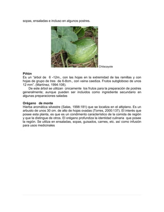 sopas, ensaladas e incluso en algunos postres.
Chilacayote
Piñón
Es un “árbol de 6 -12m., con las hojas en la extremidad de las ramillas y con
hojas de grupo de tres de 6-8cm., con vaina caediza. Frutos subgloboso de unos
12 mm”. (Martínez, 1994:108).
De este árbol se utilizan únicamente los frutos para la preparación de postres
generalmente; aunque pueden ser incluidos como ingrediente secundario en
algunas preparaciones saladas
Orégano de monte
Hierba aromática silvestre (Salas, 1998:181) que se localiza en el altiplano. Es un
arbusto de unos 30 cm. de alto de hojas ovadas (Torres, 2000:137). El interés que
posee esta planta, es que es un condimento característico de la comida de región
y que la distingue de otros. El orégano profundiza la identidad culinaria que posee
la región. Se utiliza en ensaladas, sopas, guisados, carnes, etc. así como infusión
para usos medicinales
 