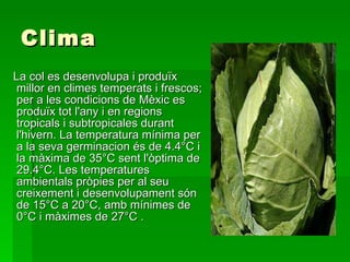 Clima La col es desenvolupa i produïx millor en climes temperats i frescos; per a les condicions de Mèxic es produïx tot l'any i en regions tropicals i subtropicales durant l'hivern. La temperatura mínima per a la seva germinacion és de 4.4°C i la màxima de 35°C sent l'òptima de 29.4°C. Les temperatures ambientals pròpies per al seu creixement i desenvolupament són de 15°C a 20°C, amb mínimes de 0°C i màximes de 27°C .  