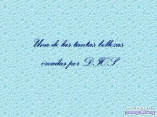 Una de las tantas bellezas
creadas por DIOS

 