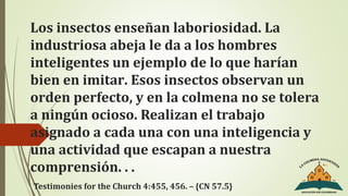 Los insectos enseñan laboriosidad. La
industriosa abeja le da a los hombres
inteligentes un ejemplo de lo que harían
bien en imitar. Esos insectos observan un
orden perfecto, y en la colmena no se tolera
a ningún ocioso. Realizan el trabajo
asignado a cada una con una inteligencia y
una actividad que escapan a nuestra
comprensión. . .
Testimonies for the Church 4:455, 456. – {CN 57.5}
 