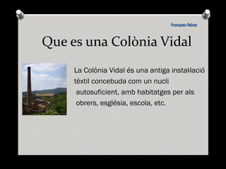 Que es una Colònia Vidal La Colònia Vidal és una antiga instal·lació tèxtil concebuda com un nucli autosuficient, amb habitatges per als obrers, església, escola, etc. 