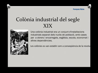 Colònia industrial del segle XIX Una colònia industrial era un conjunt d'instal·lacions industrials separat dels nuclis de població, amb cases  per  a obrers i encarregats, església, escola, economat i  altres dependències. Les colònies es van establir com a conseqüència de la revolució industrial i per tal d'aprofitar les fonts d'energia,. 