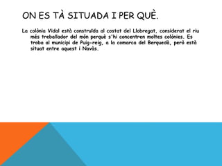 ON ES TÀ SITUADA I PER QUÈ.
La colònia Vidal està construïda al costat del Llobregat, considerat el riu
més treballador del món perquè s'hi concentren moltes colònies. Es
troba al municipi de Puig-reig, a la comarca del Berquedà, però està
situat entre aquest i Navàs.
 