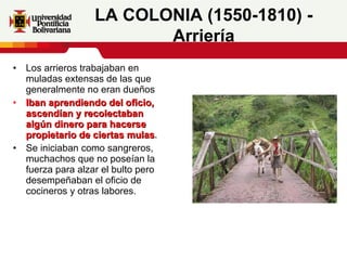 Los arrieros trabajaban en muladas extensas de las que generalmente no eran dueños Iban aprendiendo del oficio, ascendían y recolectaban algún dinero para hacerse propietario de ciertas mulas .  Se iniciaban como sangreros, muchachos que no poseían la fuerza para alzar el bulto pero desempeñaban el oficio de cocineros y otras labores.  LA COLONIA (1550-1810) - Arriería 