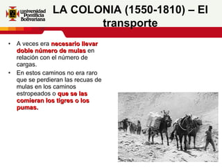 A veces era  necesario llevar doble número de mulas  en relación con el número de cargas.  En estos caminos no era raro que se perdieran las recuas de mulas en los caminos estropeados o  que se las comieran los tigres o los pumas. LA COLONIA (1550-1810) – El transporte 
