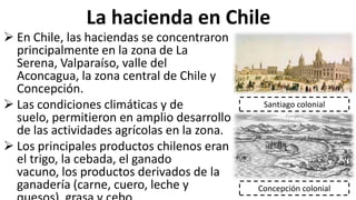 La hacienda en Chile
 En Chile, las haciendas se concentraron
principalmente en la zona de La
Serena, Valparaíso, valle del
Aconcagua, la zona central de Chile y
Concepción.
 Las condiciones climáticas y de
suelo, permitieron en amplio desarrollo
de las actividades agrícolas en la zona.
 Los principales productos chilenos eran
el trigo, la cebada, el ganado
vacuno, los productos derivados de la
ganadería (carne, cuero, leche y
Santiago colonial
Concepción colonial
 