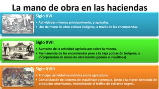 La mano de obra en las haciendas
Siglo XVI
• Actividades mineras principalmente, y agrícolas.
• Uso de mano de obra esclava indígena, a través de las encomiendas.
Siglo XVII
• Aumento de la actividad agrícola por sobre la minera.
• Permanencia de las encomiendas pese a la baja población indígena, e
incorporación de mano de obra barata (peones e inquilinos).
Siglo XVIII
• Principal actividad económica era la agricultura
• Consolidación del sistema de inquilinaje y peonaje, junto a la mayor demanda de
productos americanos, incentivando el trafico de esclavos negros.
 